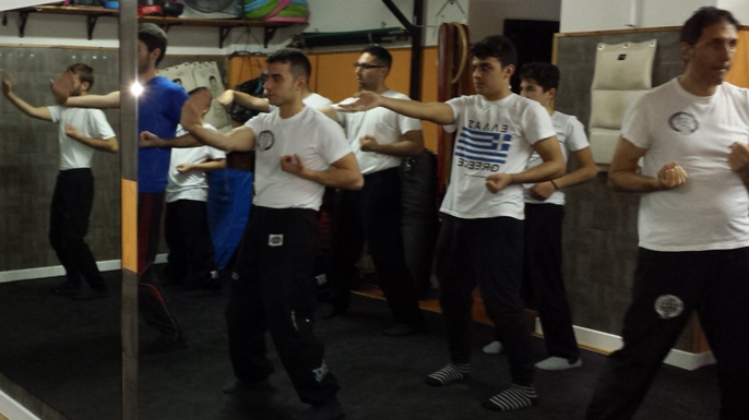 stage kung fu academy caserta di wing chuntjun con master sifu mezzone www.kungfuitalia.it scuola di arti marziali mma muay thai tai chi